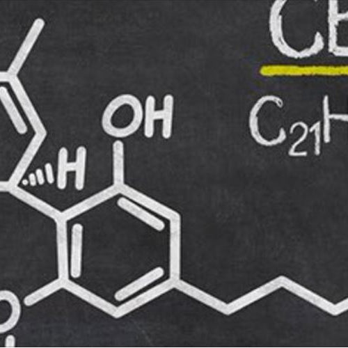 Cannabis Food Safety - FDA/GMP Compliance in Manufacturing, Dispensaries and Growers