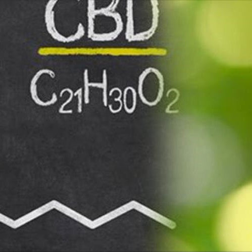 Cannabis Industry Faces High Expectations for Food Safety