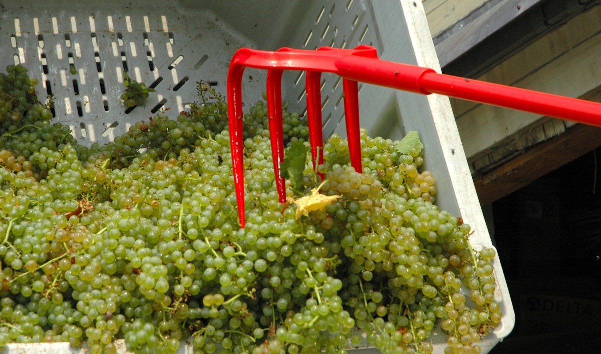 Agriculture & Winery Harvest Containers, Totes and Farm Tools — Union ...