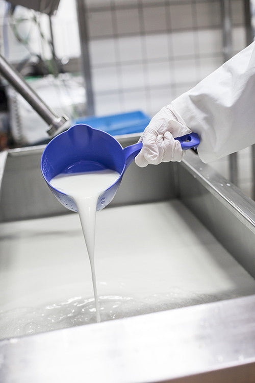 Small 32 oz. Dipping Bowl Scoop