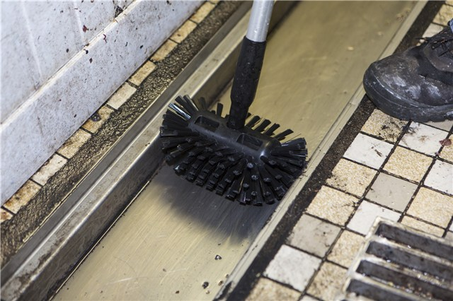8" Stiff Drain Brush With 53" Drain Handle