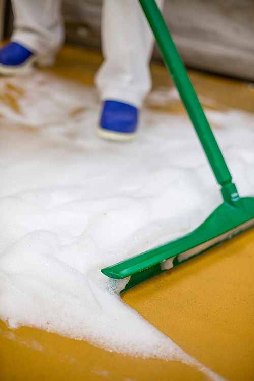 24" Single Blade Squeegee with 60" Handle