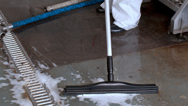 20" Double Foam Squeegee w/ 60" Aluminum Handle