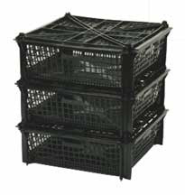 Large Shellfish & Oyster Container with Lid (1 Pallet = Qty 44)